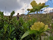 46 Gentiana punctata (Genziana maculata) con vista sulla  croce del Passo di Tartano